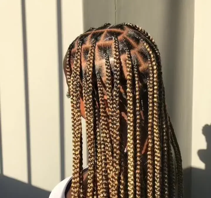 Back view of long box braids with caramel-blonde highlights