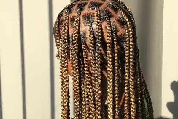 Back view of long box braids with caramel-blonde highlights